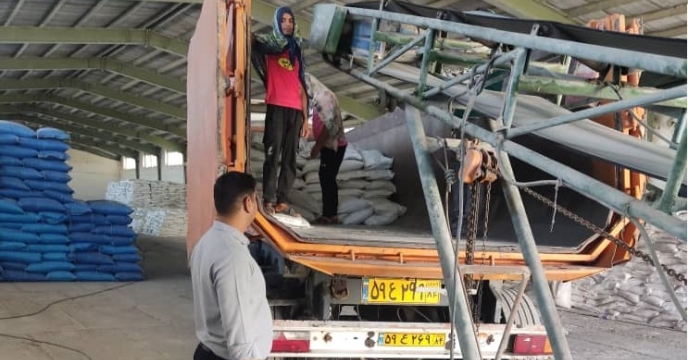 تامین و توزیع 210تن انواع کود کشاورزی در شهرستان بندرعباس  استان هرمزگان