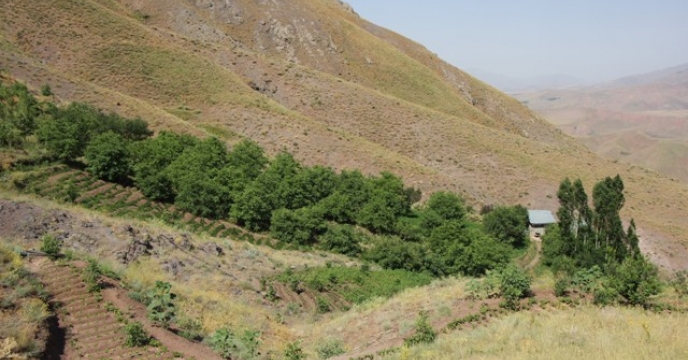 پیگیری مستندسازی اراضی از اداره ثبت اسناد و املاک کرج