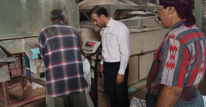 بازدید کارشناس شرکت خدمات حمایتی کشاورزی استان سمنان از روند بوجاری