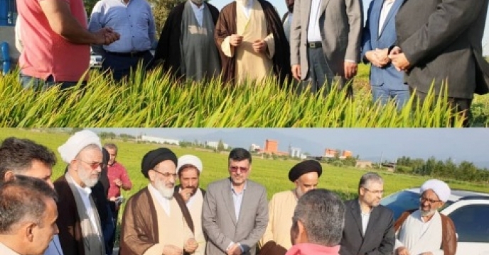 بازدید نماینده ولی فقیه در وزارت جهادکشاورزی از طرح ها و مزارع کشاورزی استان گلستان