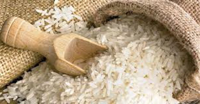 برگزاری اولین جشنواره روز ملی برنج در شرکت خدمات حمایتی کشاورزی استان گیلان