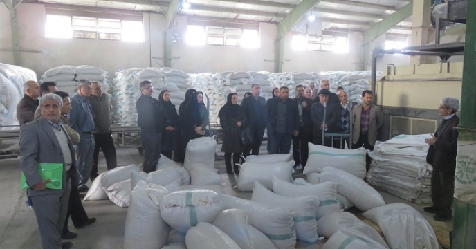 بازدید کارشناسان سایت از بوجاری بذر استان مازندران