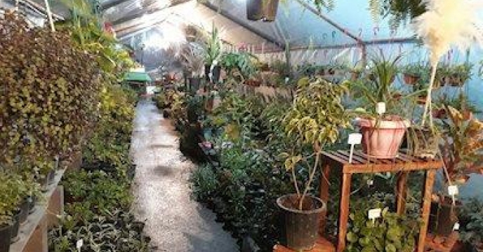 برپایی نمایشگاه بزرگ گل و گیاه محمودآباد استان مازندران