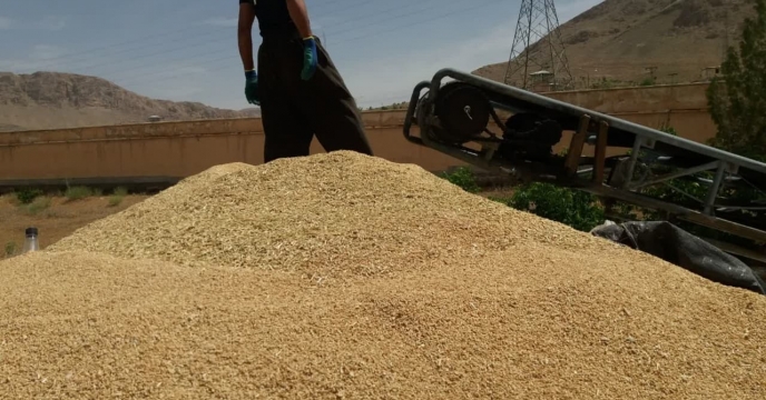 بارگیری مواد حاصل از بوجاری بذور گندم -استان چهارمحال وبختیاری 