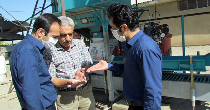 بازدید سرپرست شرکت خدمات حمایتی کشاورزی استان همدان از سامانه بوجاری