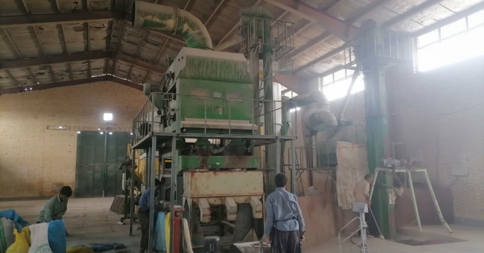 بوجاری ۳ تن بذر لوبیا قرمز در ایستگاه بوجاری شهرستان ارزوئیه انجام شد