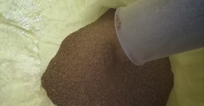 از میزان  200 کیلوگرم بذر یونجه در ایستگاه بم بوجاری شد