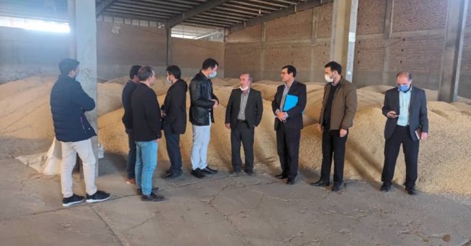 بازدید از محصول سویای بذری 