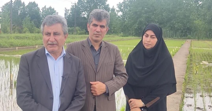 گزارش تصویری دکتر علیرضا مهاجر  معاون وزیر جهاد کشاورزی در امور زراعت در انبار موسسه تحقیقات برنج