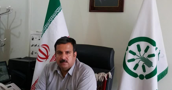 صدور بیش از 41 هزار و 635 عدد حواله الکترونیک در استان چهارمحال وبختیاری