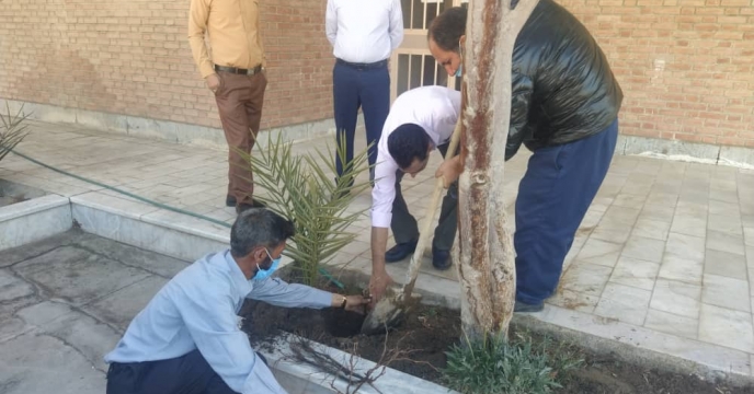 کشت نهال درروزدرختکاری توسط مدیریت وهمکاران 