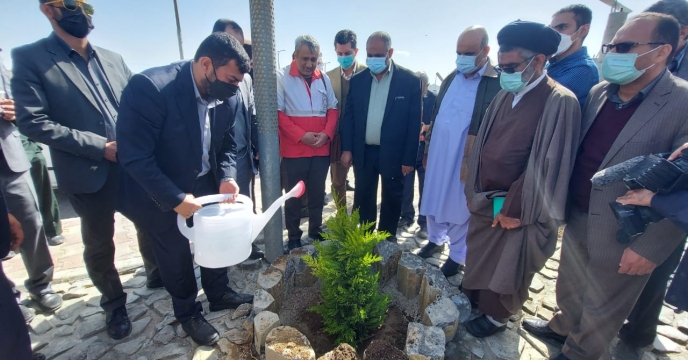 کشت نهال درروزدرختکاری