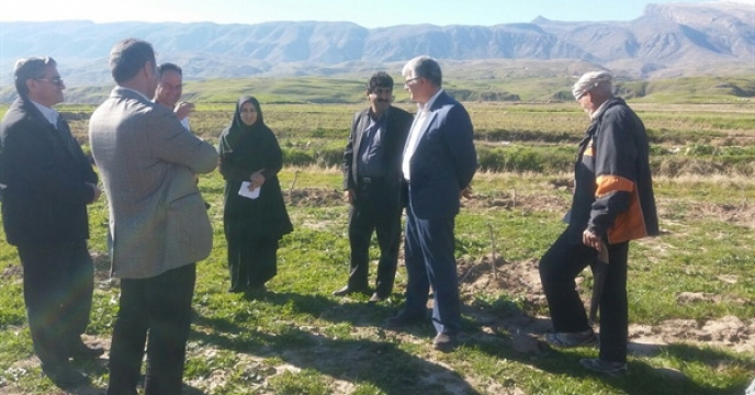 بازدید از سایت باغبانی بانواز در شهرستان سیروان