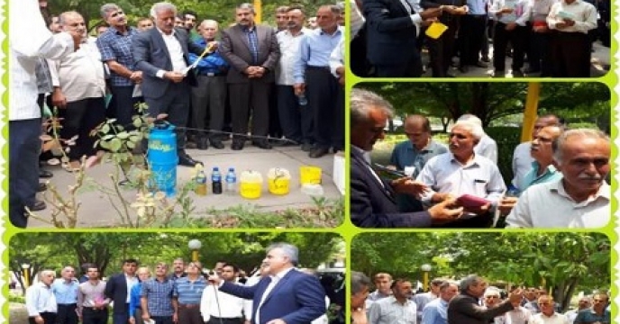 دوره آموزشی مبارزه با آفت مرکبات در بابل استان مازندران