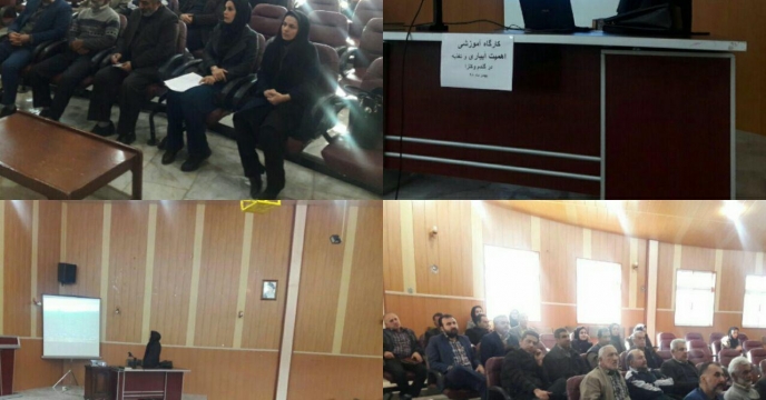 تغذیه مناسب گیاه  از سبد کودی شرکت  خدمات  حمایتی کشاورزی  استان  گلستان