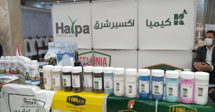 شرکتهای داخلی تولید کننده کودهای  کشاورزی ، محصولات خود را  از طریق شبکه کارگزاری شرکت خدمات حمایتی کشاورزی دراستان لرستان توزیع  کنند
