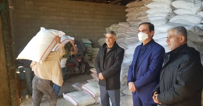 بازدید سرپرست شرکت خدمات حمایتی کشاورزی استان گیلان از کارگزاری روهان معافی در شهرستان تالش