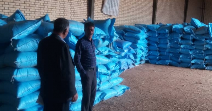 نظارت معاونت فنی شعبه بر عملکرد کارگزاران شرکت خدمات حمایتی کشاورزی استان فارس 