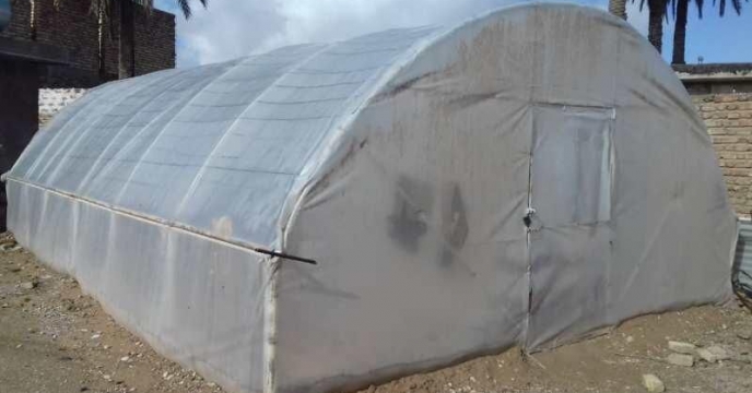 گلخانه کوچک مقیاس؛ فرصتی برای اشتغال زایی