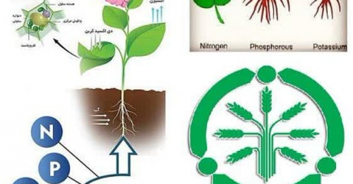 برگزاری جلسه هماهنگی توزیع کود در سال زراعی ۱۴۰۴-۱۴۰۳ در استان گلستان