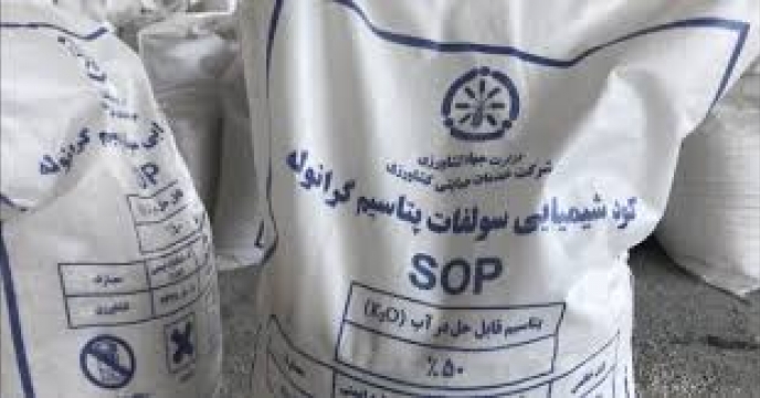 کود سولفات پتاسیم گرانوله مورد نیاز کشاورزان ایرانی در سطح کشور توزیع می گردد