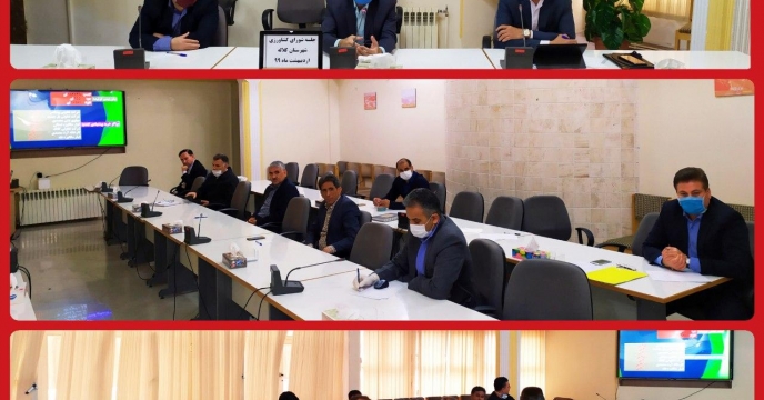 پیش بینی برداشت ۱۷۰ هزار تن گندم و کلزا از مزارع کلاله در سال جاری