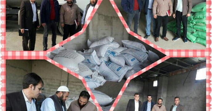 توزیع کود پرمصرف به کشاورزان گمیشانی در گلستان