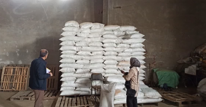 بازدید از طرح پایلوت تغذیه  ای گندم در گلستان