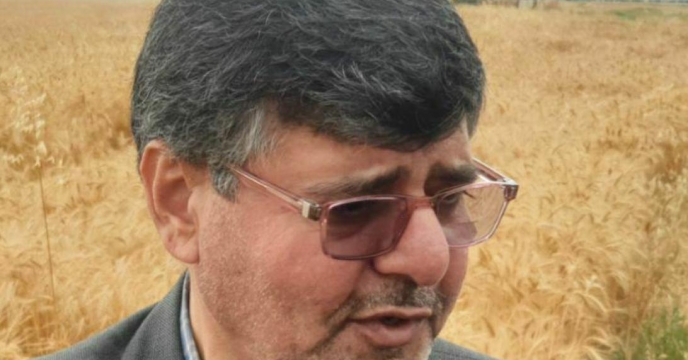وضعیت  کشت و برداشت گندم و کلزا