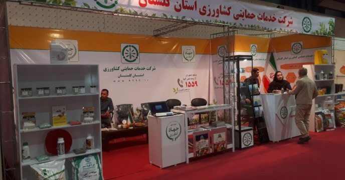 گزارش تصویری
