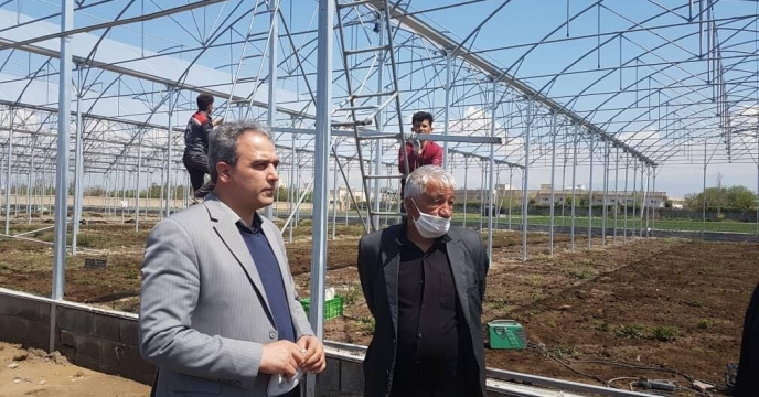طرح توسعه گلخانه‌های کشاورزی در کرج با جدیت دنبال می‌شود