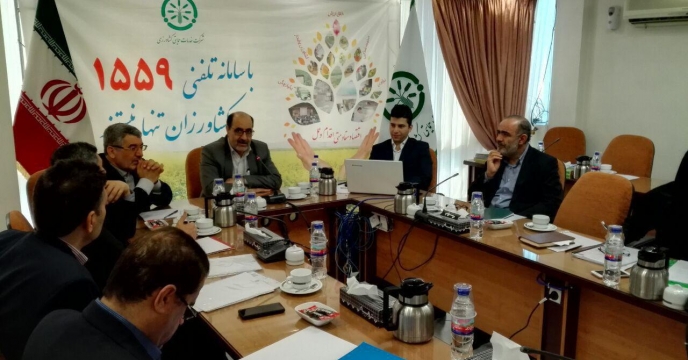 «برگزاری دوره آموزشی سامانه تدارکات الکترونیکی دولت با حضور کلیه معاونین، مدیران و کارشناسان ستاد شرکت خدمات حمایتی کشاورزی»