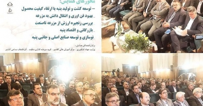 اولین همایش روز جهانی پنبه