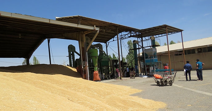  سامانه بوجاری شرکت خدمات حمایتی کشاورزی استان همدان
