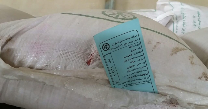 نمونه برداری از گندم بذری بوجاری شده – مهرماه 1399 استان مرکزی 
