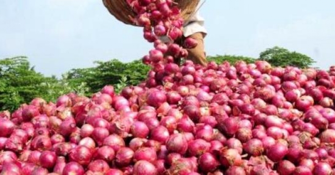 توزیع کود پرمصرف جهت کشت365 هکتار پیاز در گلستان