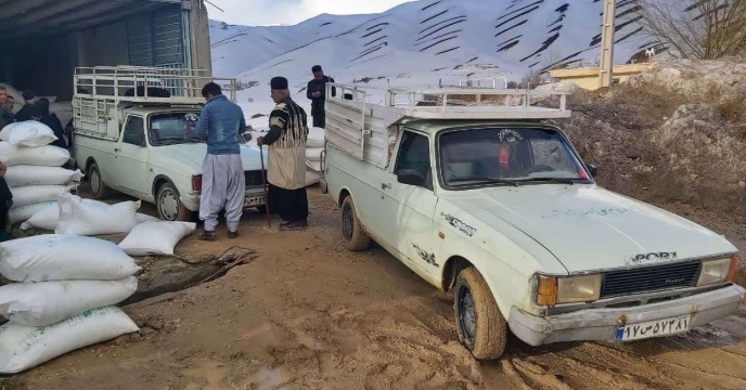 تامین کودشیمیایی مورد نیاز شهرستان کوهرنگ و رضایتمندی  کشاورزان