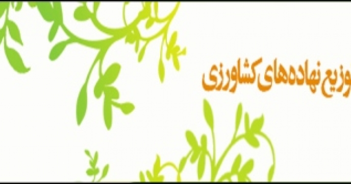 ثبت 87 درصد بارنامه رسید شده در استان همدان