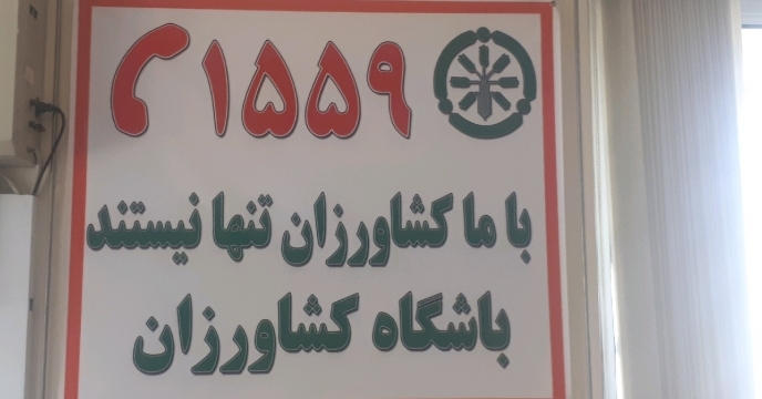 تامین و توزیع کودهای مناسب و با کیفیت ، بیشتر شدن نظارت کیفی بر آنالیز آب و خاک در گلستان