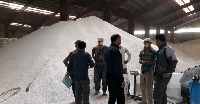 بازدید مدیر شرکت خدمات حمایتی کشاورزی  استان گلستان از سازمانی گرگان