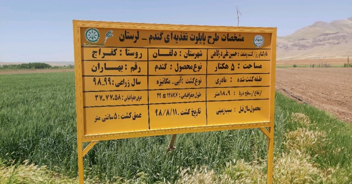 طرح پایلوت تغذیه 