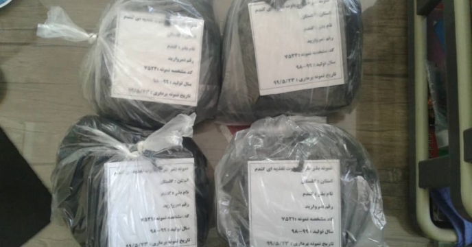ارسال نمونه های بذری طرح پایلوت تغذیه ای گندم به مرکز تحقیقات کاربردی نهاده های کشاورزی