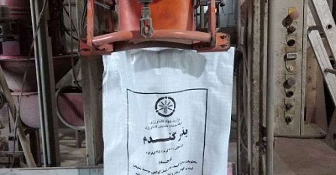  بوجاری بذر364 تن بذر گندم در گلستان