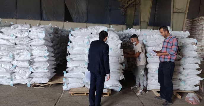 نمونه برداری از2336 تن بذر  بوجاری شده گندم در گلستان