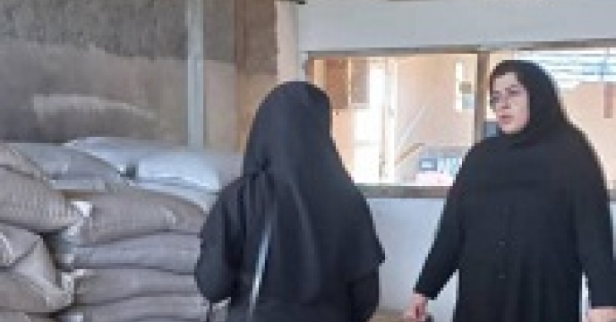 بازدید از روند توزیع بذر گندم در  شرکت پیشگامان کشت  پایدار گلستان