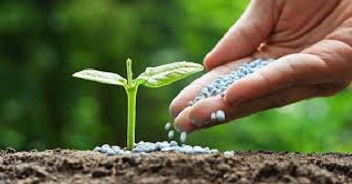 عملیات ترخیص کود شیمیایی دی آمونیوم فسفات محموله کشتی آرتمن