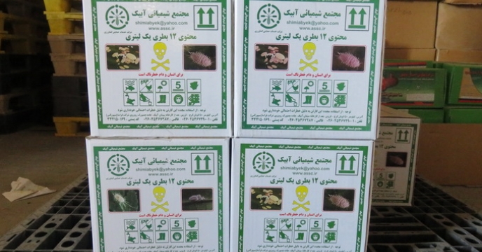 مبارزه همه جانبه با آفت ساقه خوار برنج در استان مازندران