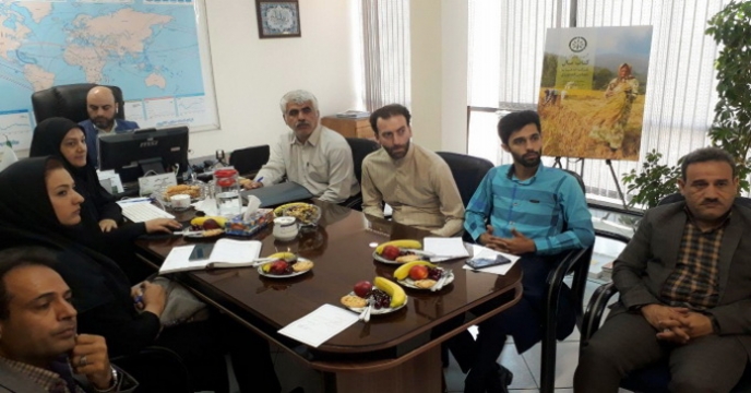  شرکت همکاران در کلاس آموزش درج محتوا در وبسایت