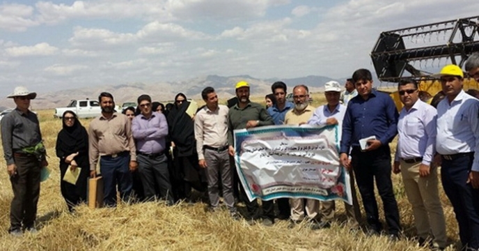 برگزاری دوره آموزشی برداشت کلزا و غلات و تنظیم کمباین در شهرستان مهران