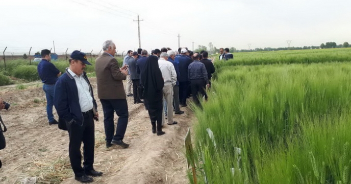 بازدید از مزارع الگویی جوآبی در کرج 